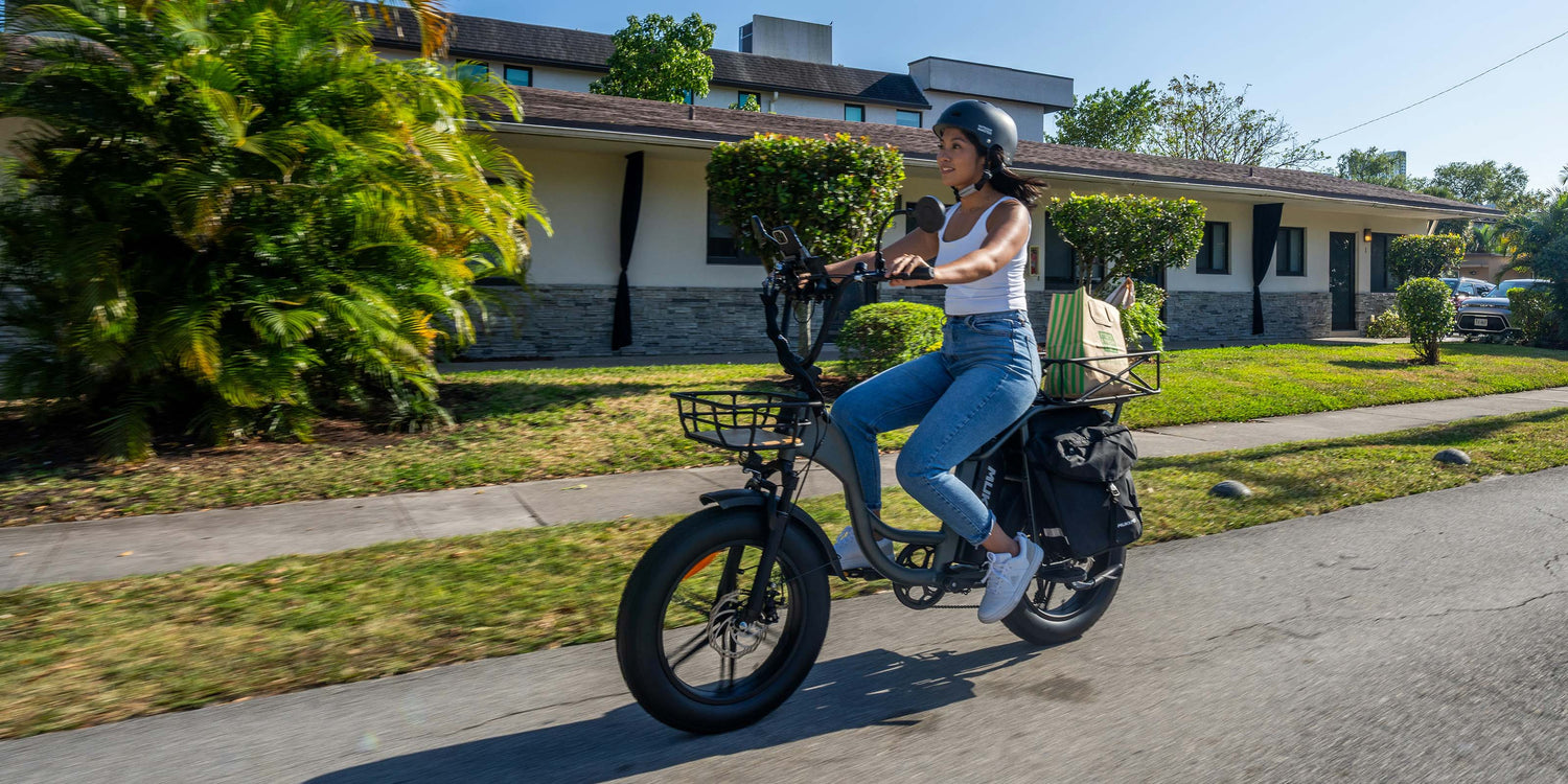 electric cargo bike