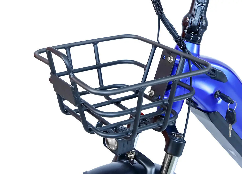 Premium Cargo Electric Bike AEB69 – Power, Range & Hauling Made Easy ALWAYBIKE