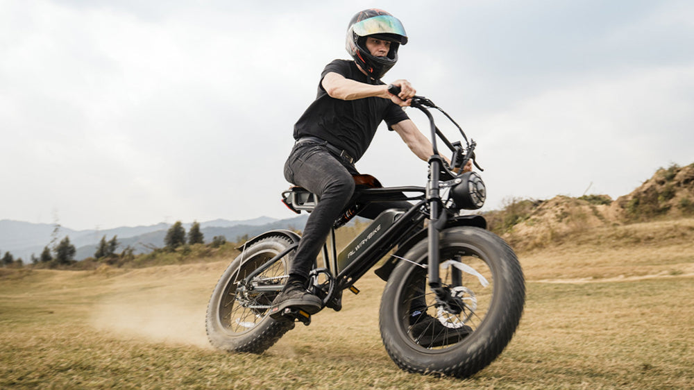CEMOTO EB66 Harley-like fat tire ebike riding on grassy terrain.
