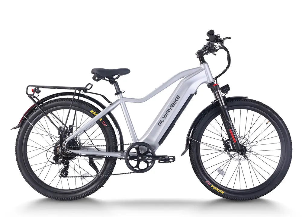 CEMOTO EBIKE EB52 | 750W Step - Thru Electric Bike for City Commute, 60 Miles Range - CEMOTOBIKE_US