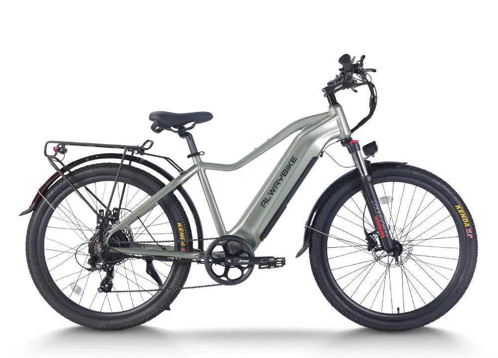 CEMOTO EBIKE EB52 | 750W Step - Thru Electric Bike for City Commute, 60 Miles Range - CEMOTOBIKE_US