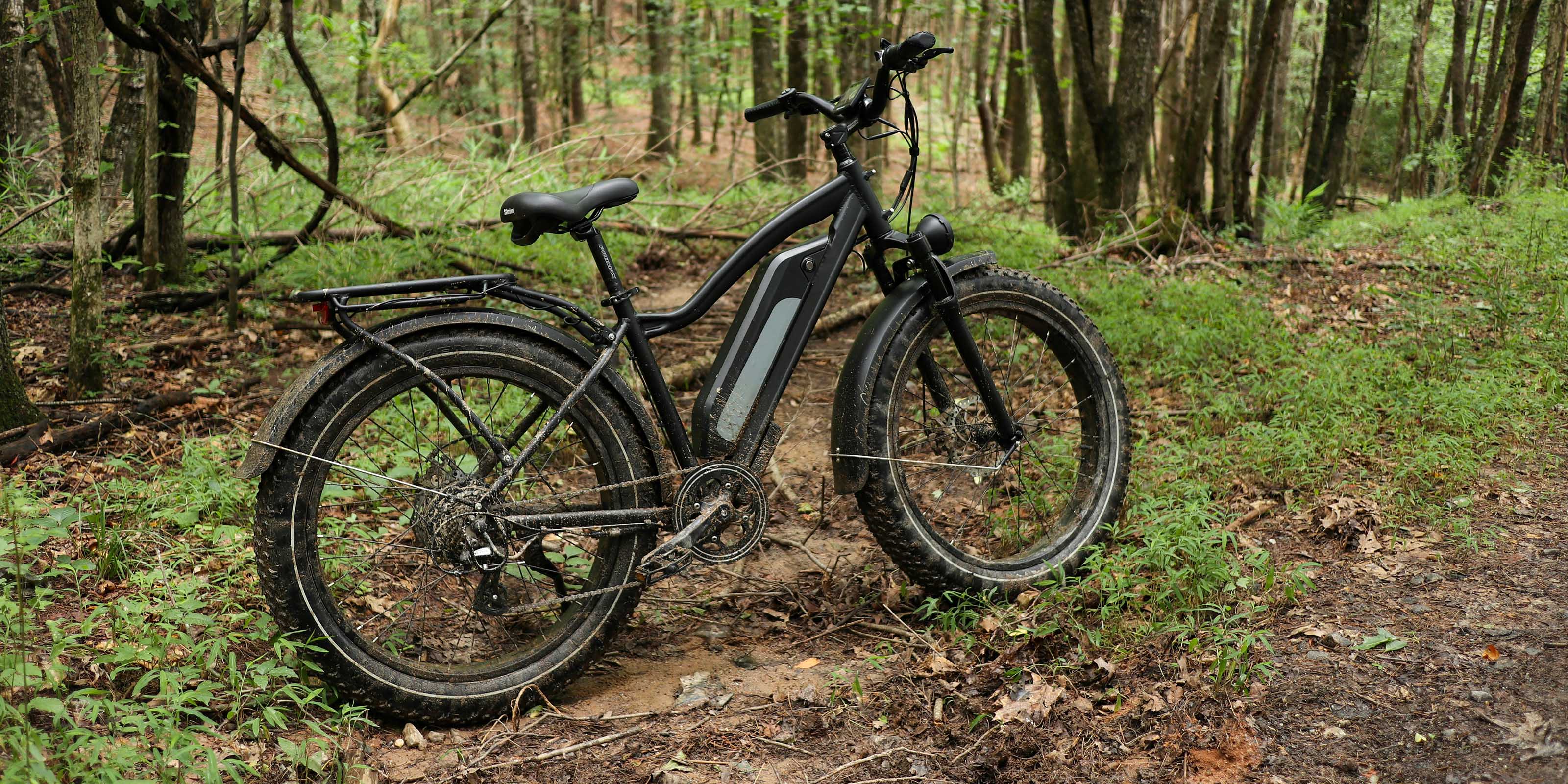 Alwaybike Electric Hunting Bikes: Power, Precision, and Performance in the Wild - ALWAYBIKE