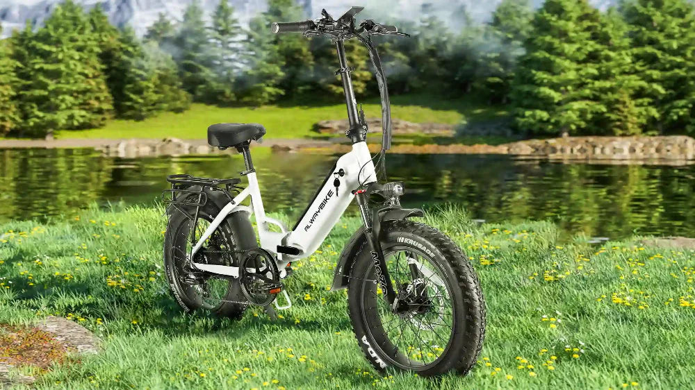 What Is a Step-Through Ebike? Everything You Need to Know - CEMOTOBIKE