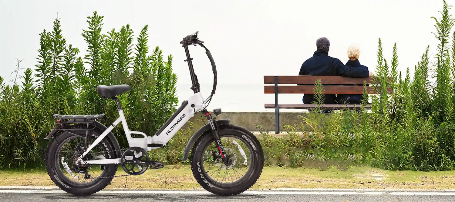 5 Steps to Choose the Electric Folding Bike That Suits You Best - CEMOTOBIKE_US