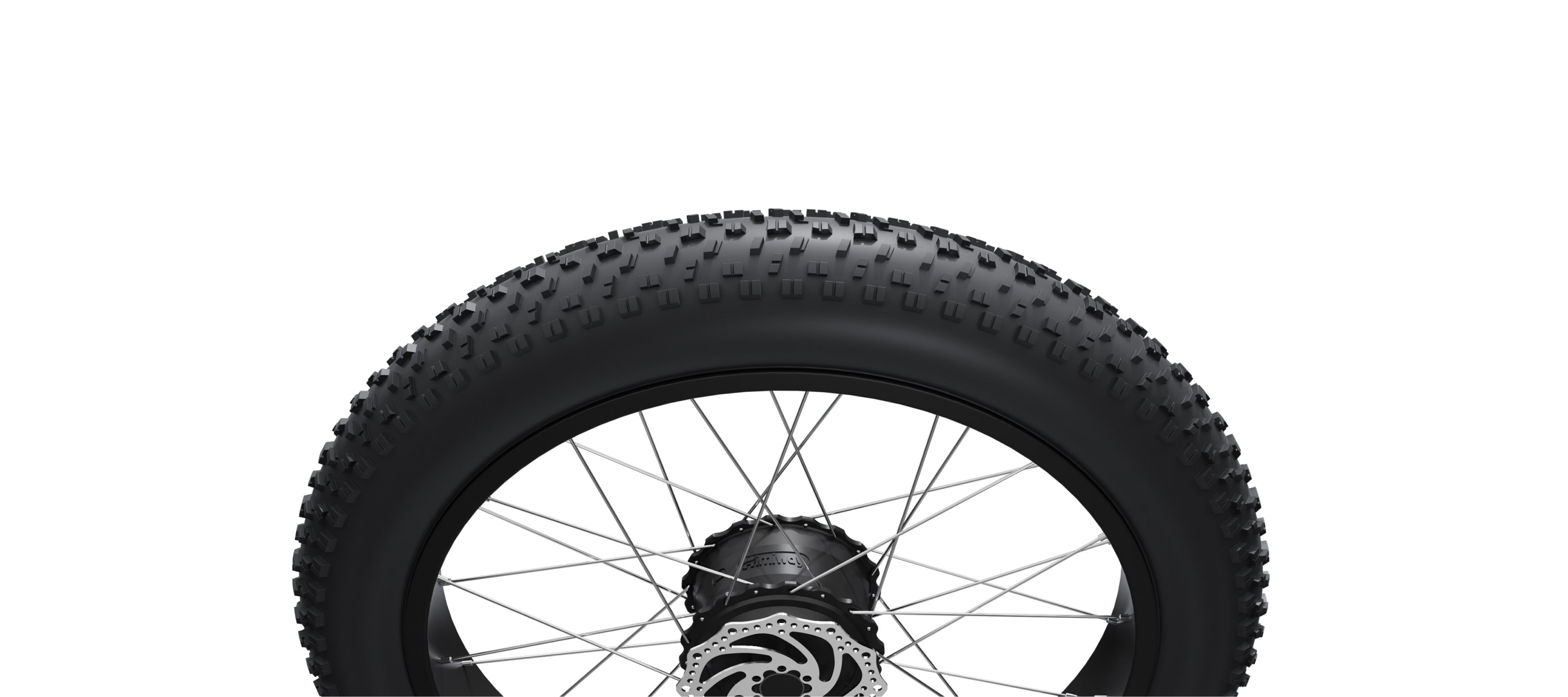 20"*4.0 fat tire for electric bike