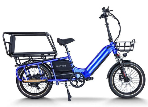 Cargo Electric Bike |CEMOTO B69 750W Heavy Duty E-Bike 150kg Capacity