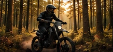 Illustrative riding moments scene