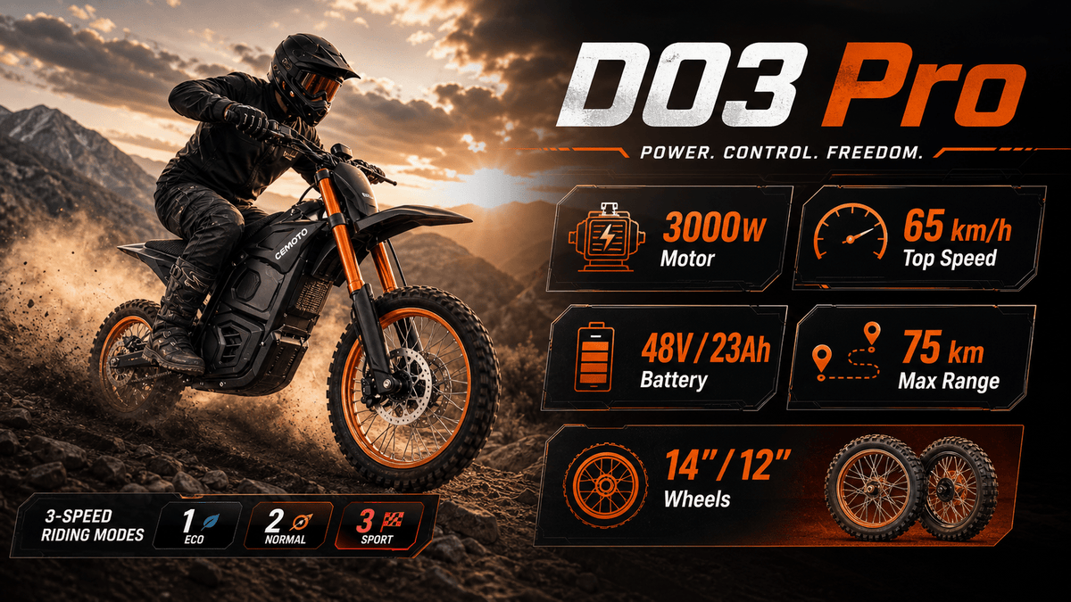 D03 Pro Off-Road Electric Dirt Bike | 3000W - CEMOTO